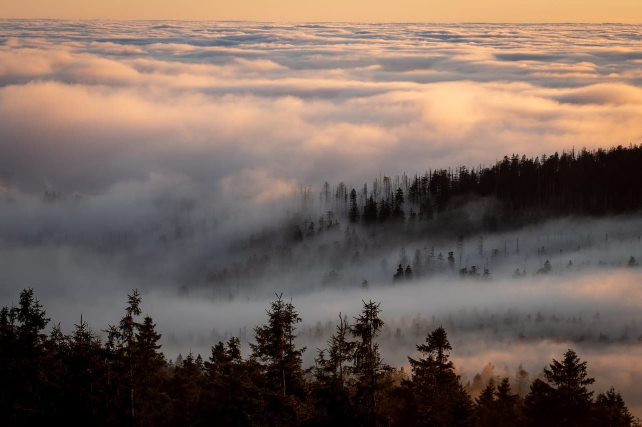 Titelbild zu „Magie über den Wolken“