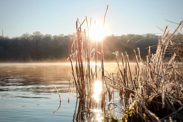 Titelbild zu „Frostiger Morgen in Sacrow“