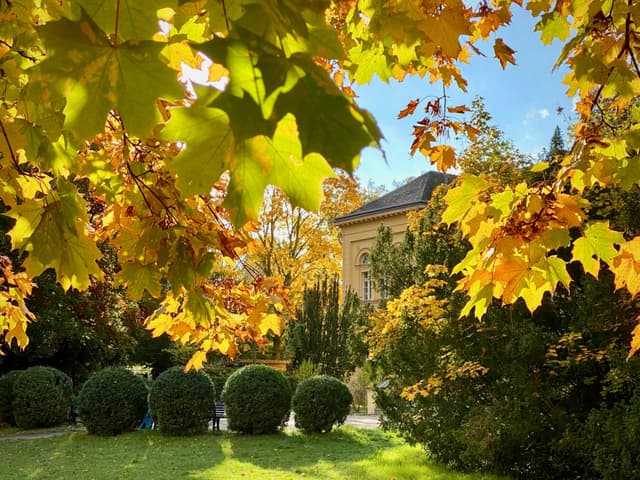 Titelbild zu „Schlosspark Lichterfelde“