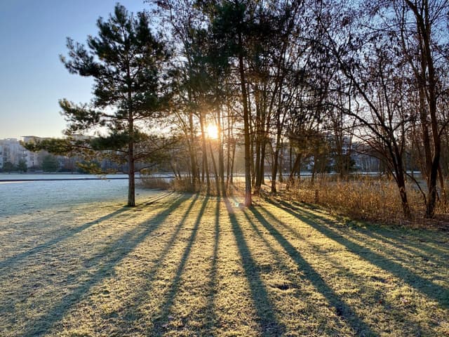 Titelbild zu „Winter in Berlin“